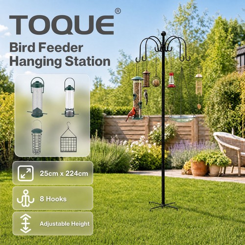 Toque complete bird feeding - toque,