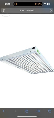 Lumii 4ft lamp t5 - lumii,