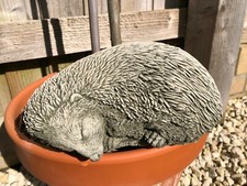 Sleeping Hedgehog Statue |