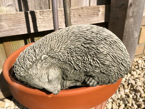 Sleeping hedgehog statue - sleeping,