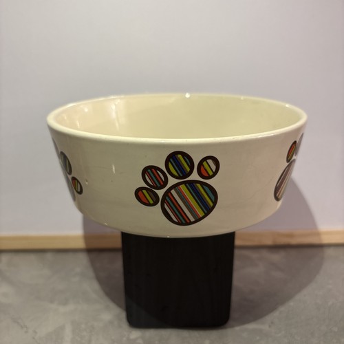 Mason cash rainbow paw dog - cash,