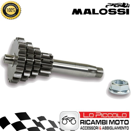 6716207 malossi multiple - 6716207,