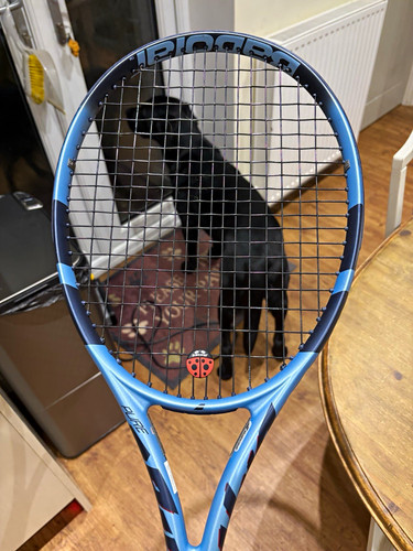 Babolat pure drive 100 - babolat,