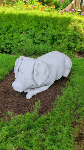 Latex and fibreglass - and,