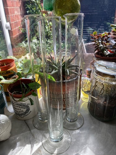 Vintage laboratory glassware