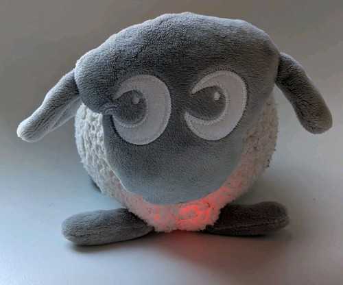 Ewan the dream sheep baby - sheep,