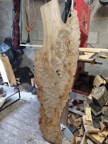 Beautiful elm burl slab ideal - burl,