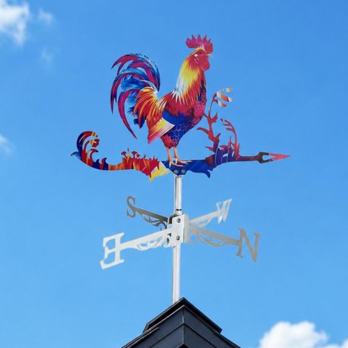 Garden shed decoration rooster - garden,