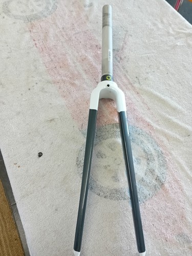 Giant defy carbon forks - carbon, qr