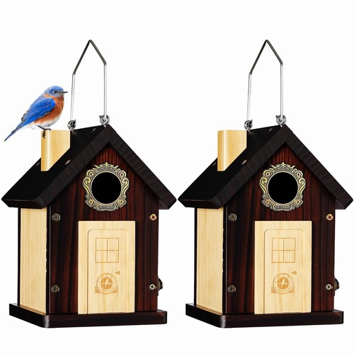 Pack blue bird houses - bird,
