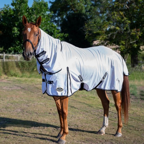 Gallop essentials mesh - gallop,