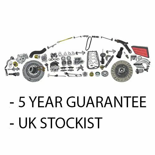 Rear tailgate gas - 2x,