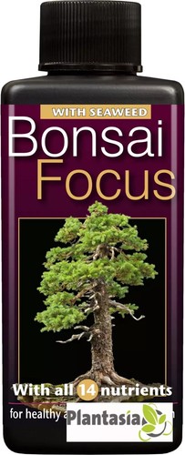 Bonsai focus liquid feed 100ml - focus,