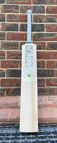 Brand new salix ajk - salix, player
