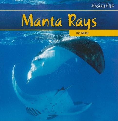 Manta rays - rays, (freaky