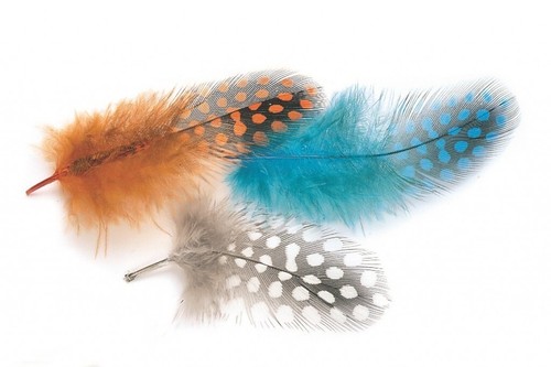 Veniard fly tying feathers - fly,