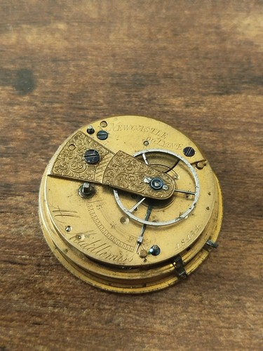 Middlemiss newcastle fusee - m.middlemiss,