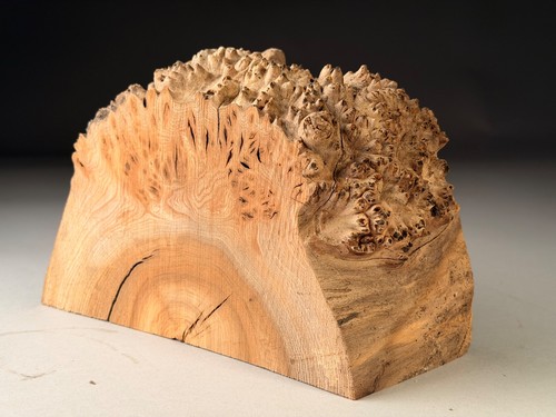 Burr elm live edge resin - edge,
