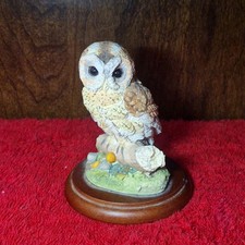 Border Fine Arts “Tawny