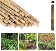 6FT Strong Thick Bamboo Canes