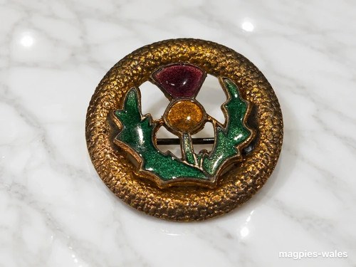 Vintage scottish thistle - vintage,