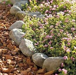 Pack outdoor garden stone - outdoor,