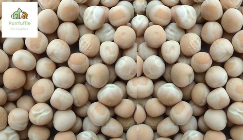 20kg white peas - 20kg, racing