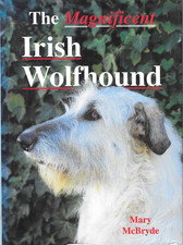 The Magnificent Irish