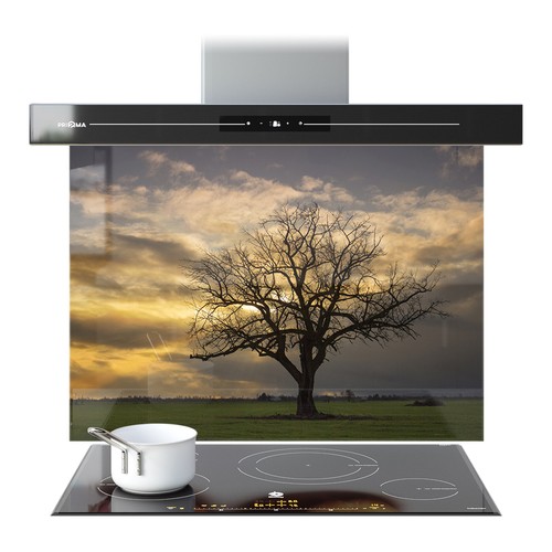 Kitchen glass splashback - kitchen,