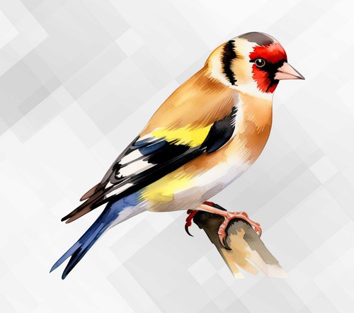 Goldfinch bird wall - goldfinch, vinyl