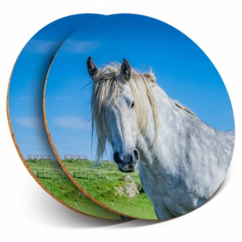 Coasters highland pony - x,