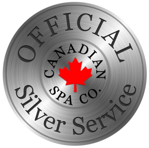 Spa silver maintenance service - silver,