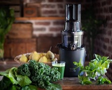 Slow Masticating Juicer