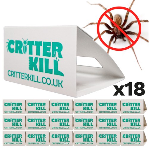 Spider killer traps crawling - killer,