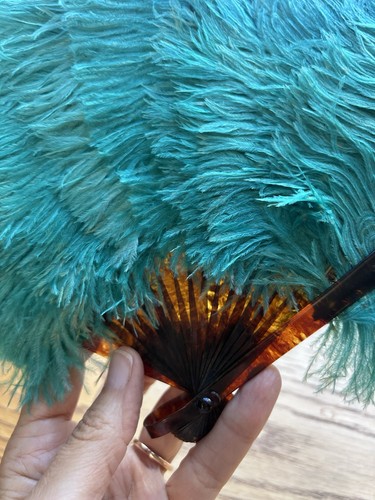 Antique ostrich feather fan - antique,