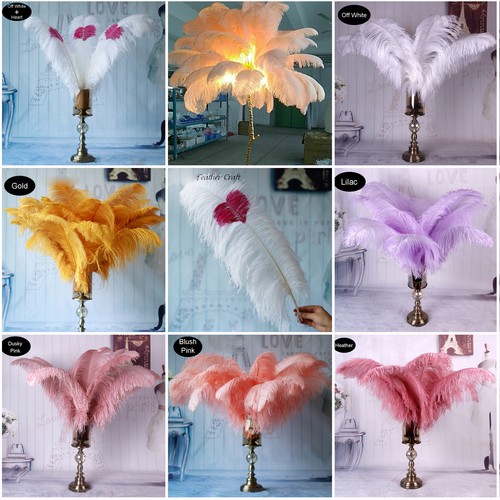 Long quality ostrich feathers - long,