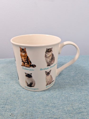 Leonardo collection mug cat - leonardo,