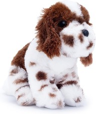 Eco-friendly Springer Spaniel