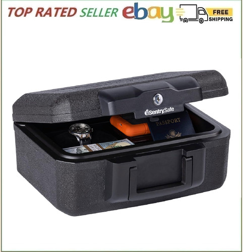 Sentrysafe fireproof money - sentrysafe,