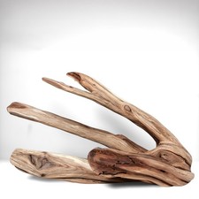 18" Manzanita Driftwood