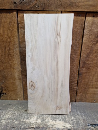 Live edge hornbeam slab - live, (059)