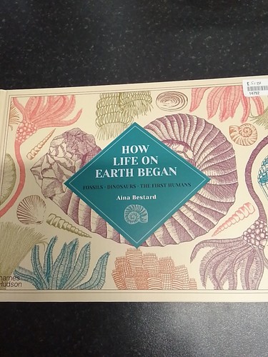 Aina bestard how life earth - aina, on