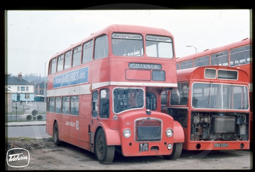 Original bus slide alder - original,