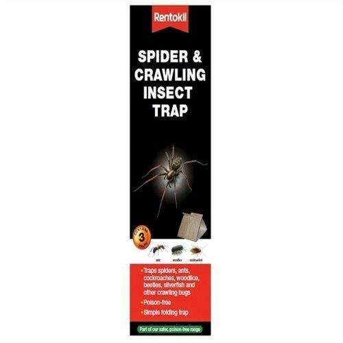 Rentokil spider crawling - rentokil,