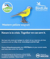 RSPB Pin Badge Bird Life International NIIC Western Yellow Wagtail P03221