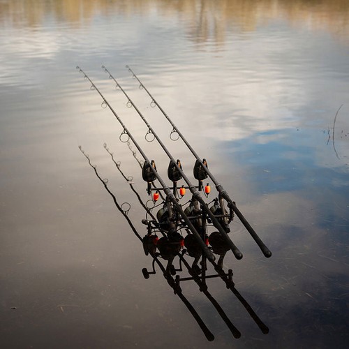 Fox eos carp rods new - x, 2025