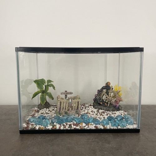 Medium sized fish tank - medium,
