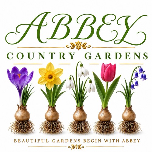 Spring bulb collection - spring,
