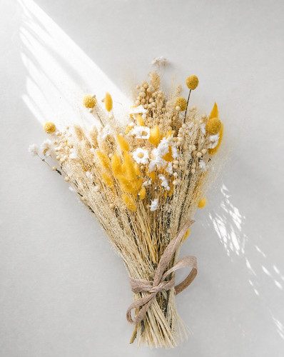 Cottage flowers dried - cottage, flower