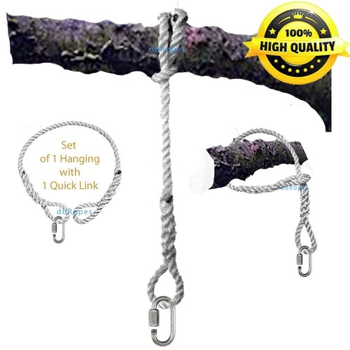 Tree swing hanging - swing,
